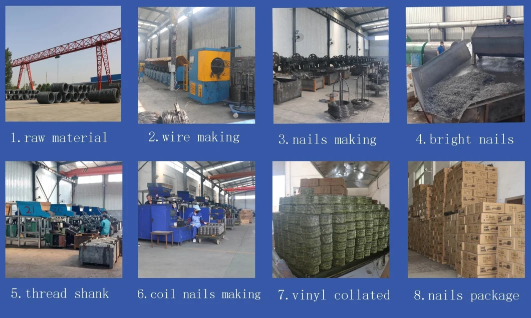 Bulk Pallet Ring Shank Coil Nail/Painted Coil Nail (manufacture)