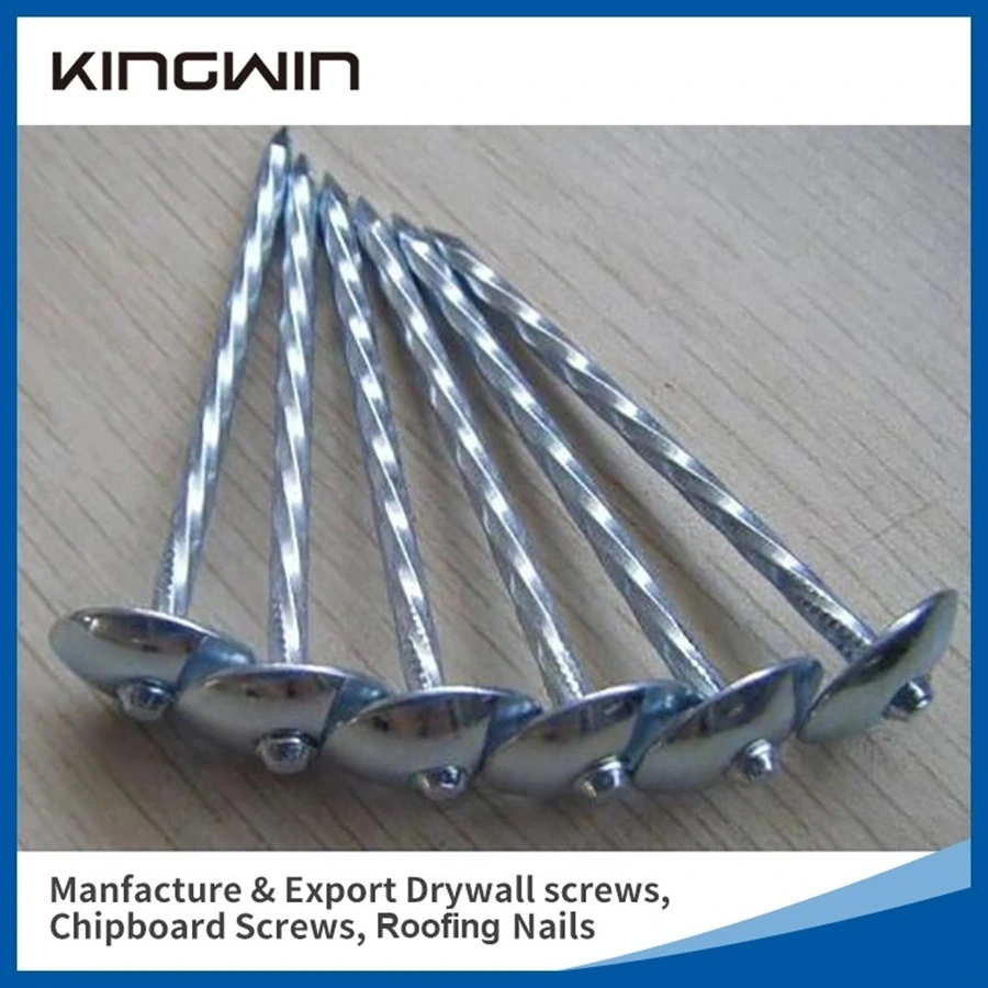 Wholesale Galvanized Smooth / Twisted Shank 2.5