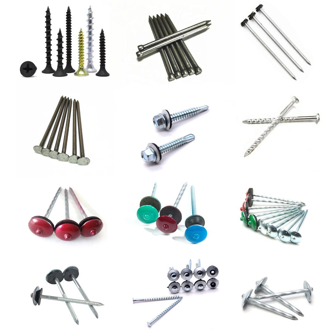 Building Material Bwg10 Bwg12 Smooth Steel Roof Nail Twisted Shank Zinc Coated Colored with Washer Rubber Galvanized Umbrella Head Galvanized Roofing Nails