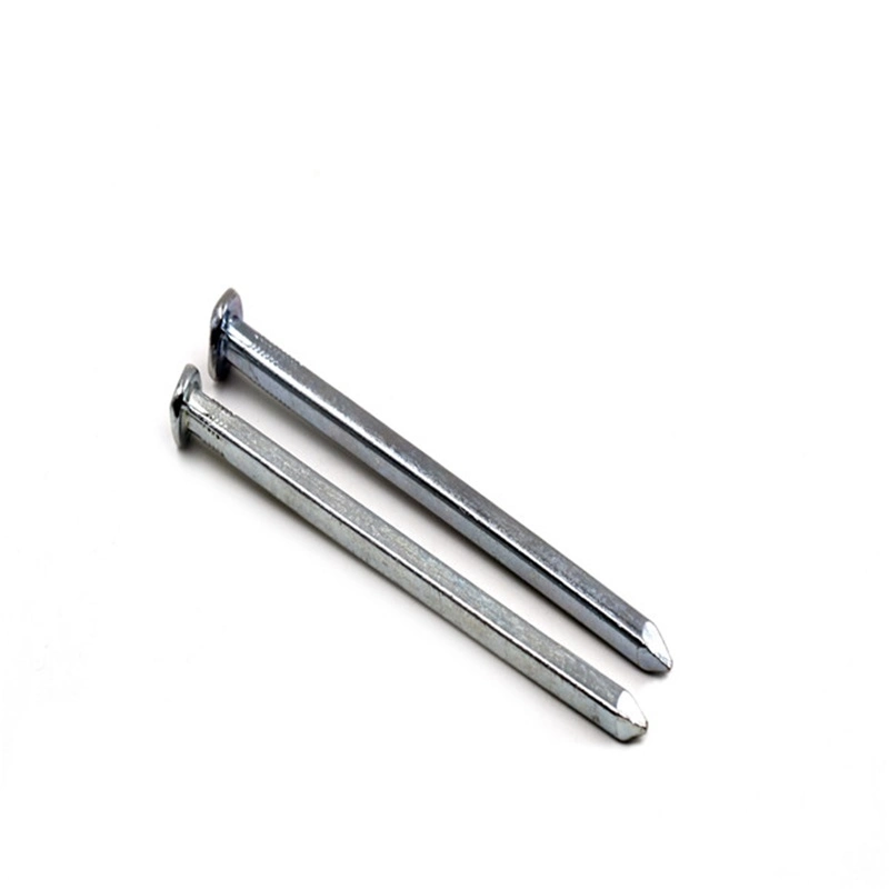 High Quality Galvanized or Hot Dipped Galvanized Square Boat Nail/Galvanized Square Nail for Construction From Tianjin China Factory