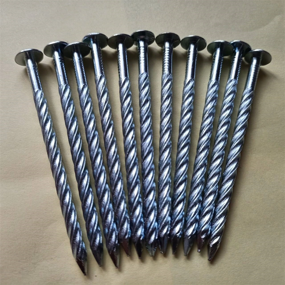 25kg Box in Bulk/Roof/Screws/Galvanizing/Twist Nails