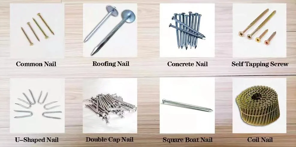 Round/Flat Head Spike Wire Steel Nails Common Nails Iron Factory Price Stainless Steel Large Iron Smooth Plain GB Common Nai