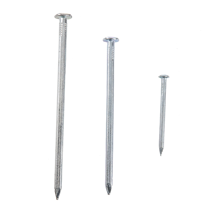 Vietnam Philippines Singapore Market/Electro Galvanized Square Boat Nails for Boat